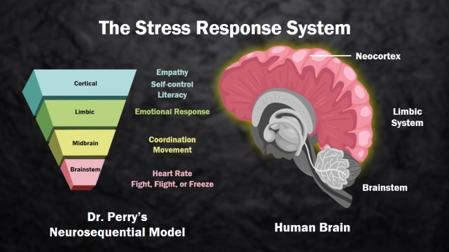 Trauma-Informed Care in Schools Preview 1