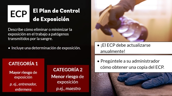 Patógenos Transmitidos por la Sangre Preview 3