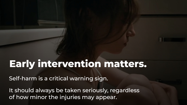 YMH 2 Crisis Response/Suicide Prevention Preview 2