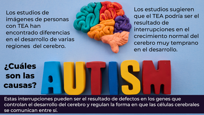 Educating Students with Autism (Spanish Version) Preview 1