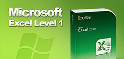 Microsoft Excel 2010 Level 1