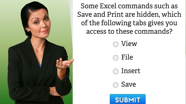 Microsoft Excel 2010 Level 1 Preview 2