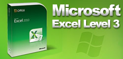 Microsoft Excel 2010 Level 3