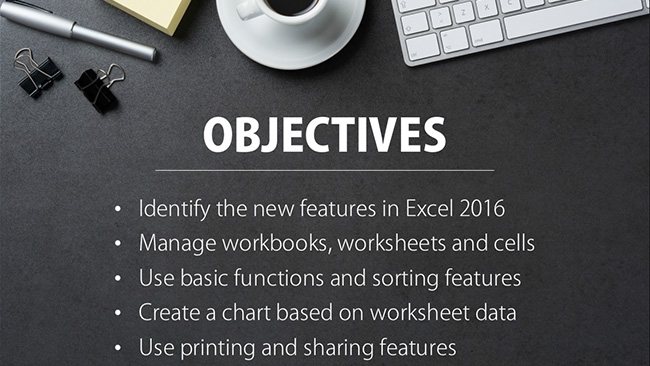 Microsoft Excel 2016: Introduction Preview 1