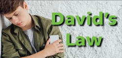 Cyberbullying-David's Law