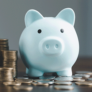 A Framework For Understanding Poverty Package